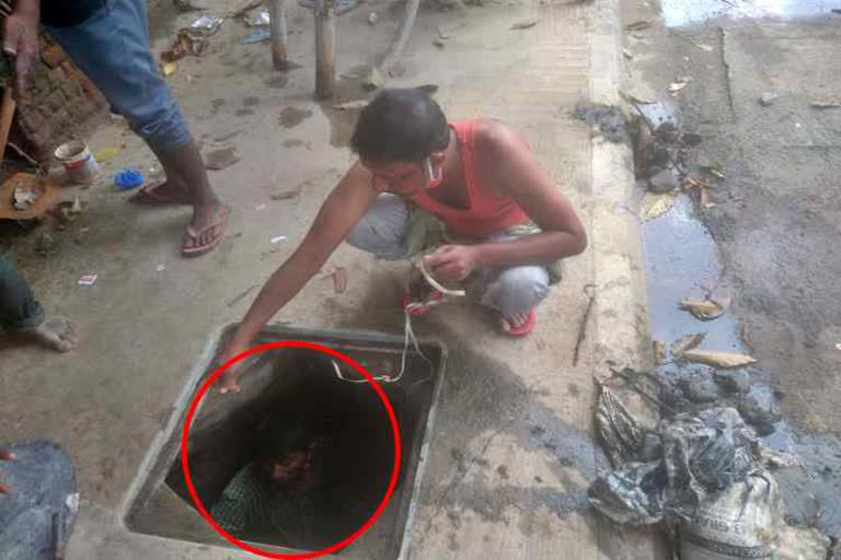 man cleaning savage tank in bengaluru