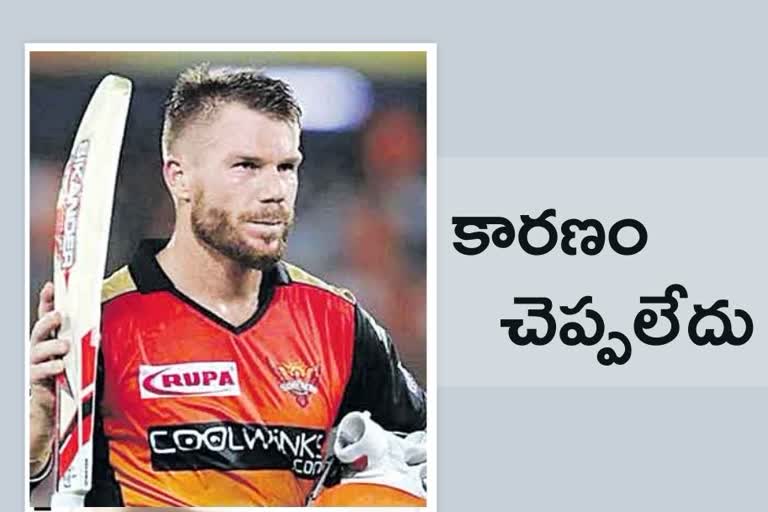 david warner