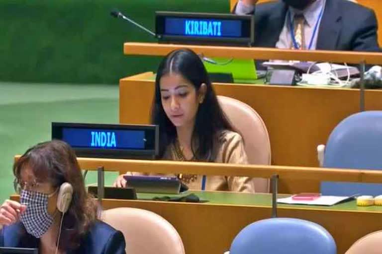 Sustainable development will only be achieved by collective efforts: India at UNGA