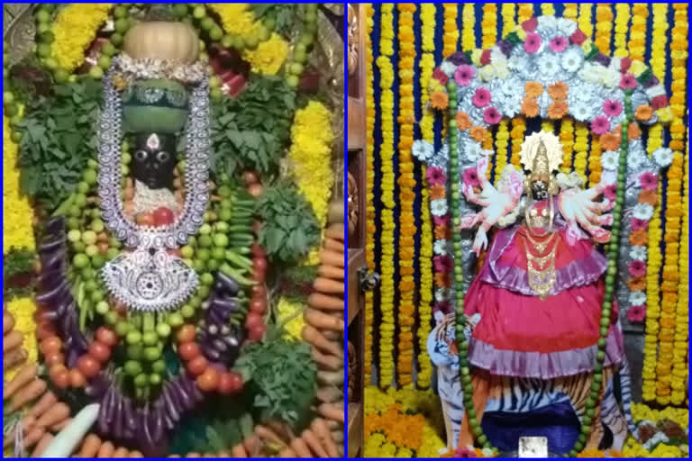 dasara navaratri celebrations at prakasam and west godavari