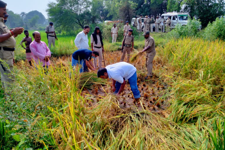 sahibganj-dc-harvested-crops-in-the-field