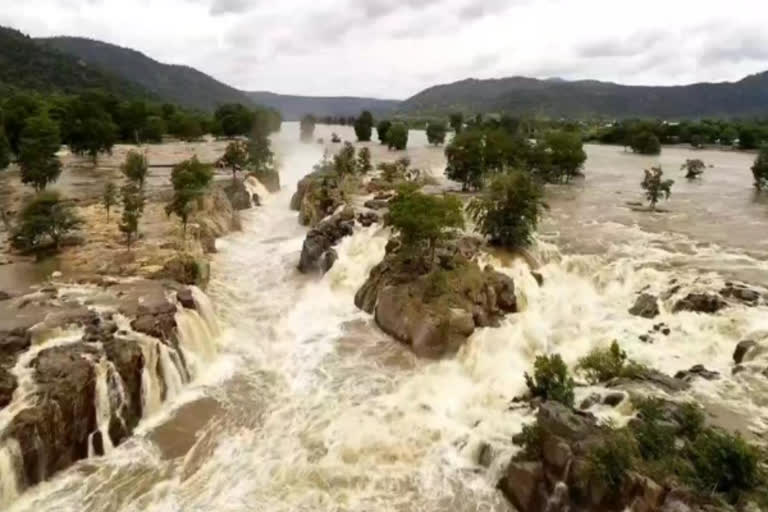 ஒகேனக்கல் அருவி