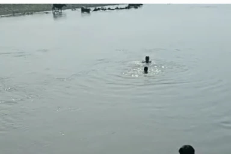 कासगंज में पानी में गिरे बच्चे को बचाने में मजार पर चादर चढ़ाने आए 3 लोग डूबे, जानें क्या है मामला