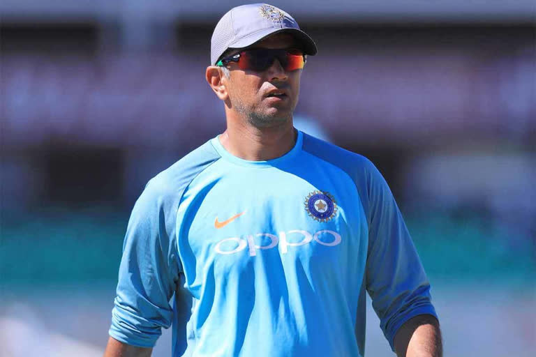 Rahul Dravid likely to be interim coach for New Zealand series
