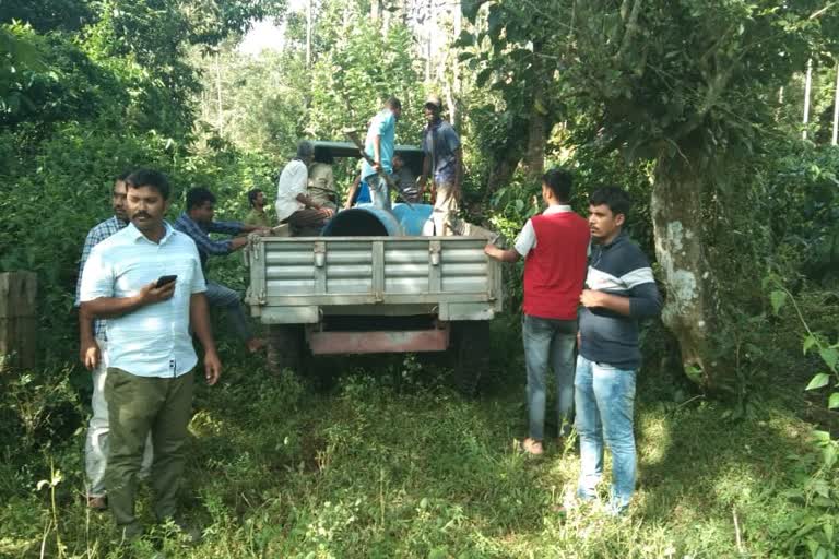 ಹುಲಿ ದಾಳಿಗೆ ಹಸು ಬಲಿ