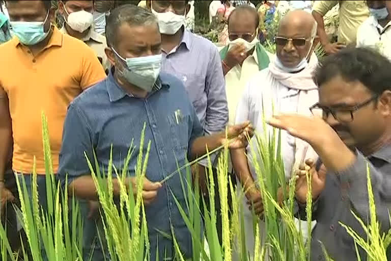 natural farming