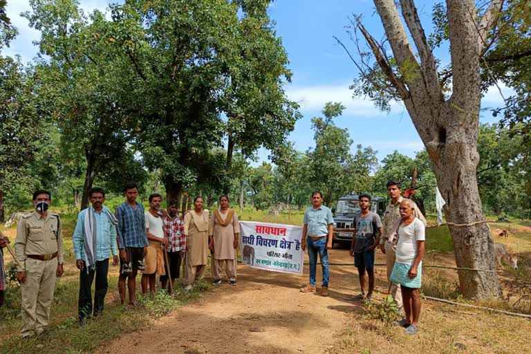 A team of 40 elephants reached Koriya