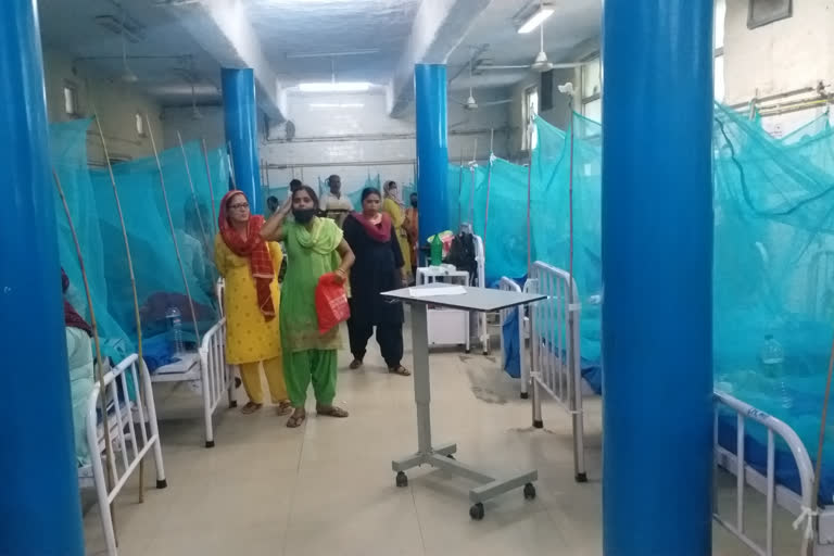 separate ward set up for Dengue in Swami Dayanand Hospital Delhi