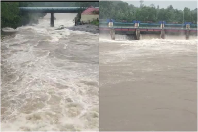 Heavy rains in Thiruvananthapuram  Heavy rain  damage in many places  rain  തിരുവനന്തപുരത്ത് ശക്തമായ മഴ  മഴ  കനത്ത മഴ  പലയിടങ്ങളിലും വൻനാശനഷ്‌ടം  ആദിവാസി ഊര്  നെയ്യാർ  മണ്ണിടിച്ചിൽ