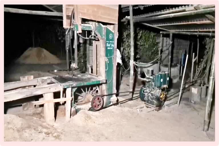 illegal saw mills run in Kalgachia