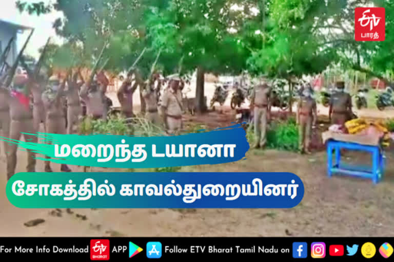 Police Dog Ramanathapuram Diana  Police Dog dead  ramanathapuram police dog dead  police dog  dog  bullets honor for police dog  police dog body burried with twenty one bullets honor  ramanathapuram news  ramanathapuram latest news  ராமநாதபுரம் செய்திகள்  மோப்ப நாய்  நாய்  போலீஸ் நாய் உடல் மரியாதையுடன் தகனம்  ராமநாதபுரத்தில் போலீஸ் நாய் உடல் மரியாதையுடன் தகனம்