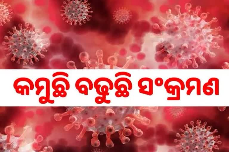 STATE CORONA: ଦିନକରେ ୪୪୩ ପଜିଟିଭ ଚିହ୍ନଟ,୭୫  ଶିଶୁ ଆକ୍ରାନ୍ତ