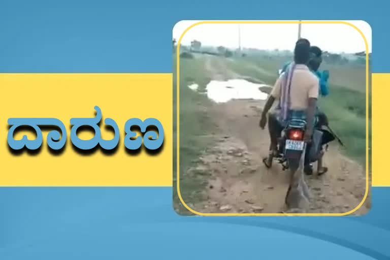 villagers-brutally-killed-wolf-in-gadag