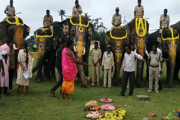 Farewell to the Dasara elephants