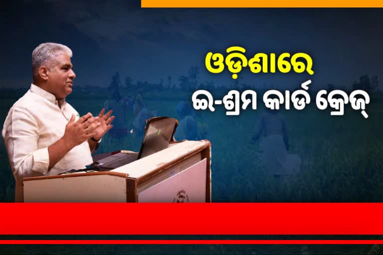 ଇ-ଶ୍ରମ ପୋର୍ଟାଲରେ ୪ କୋଟି ଶ୍ରମିକଙ୍କ ପଞ୍ଜୀକରଣ; ସବୁଠୁ ଆଗରେ ଓଡ଼ିଶା