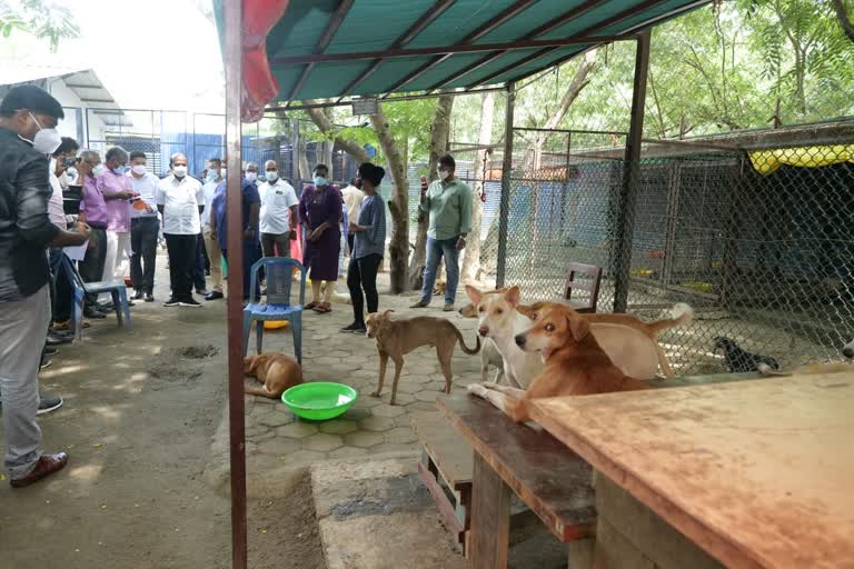 அமைச்சர் மா சுப்பிரமணியன், ஐஐடி நாய்கள், சென்னை ஐஐடி, minister subramanian, மான்கள் இறப்பு, chennai iit, நாய் கடித்து நாய்கள் இறப்பு