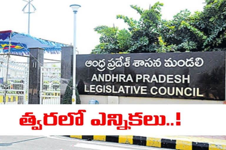 ap mlc elections