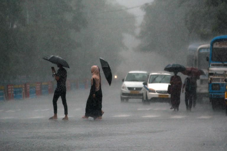 heavy rain  rain update  yellow alert  rain alert in kerala  യെല്ലോ അലർട്ട്  ശക്തമായ മഴ  മഴ  കേരളം മഴ