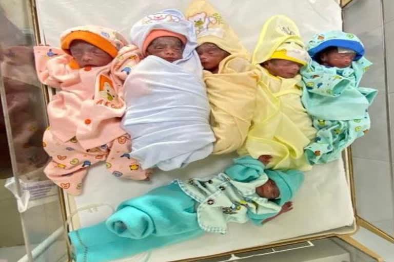 महिला ने एक साथ 7 बच्चों को दिया जन्म