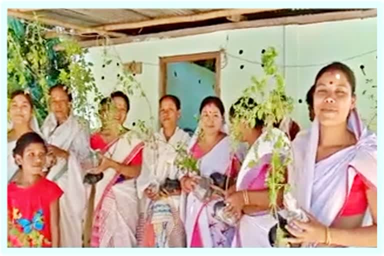 kati bihu celebrate in  Charaideo