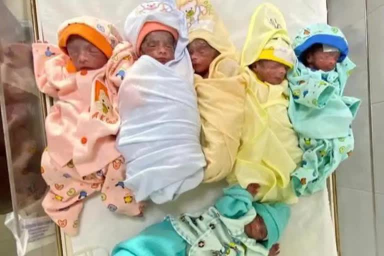 mother has given birth to 7 babies