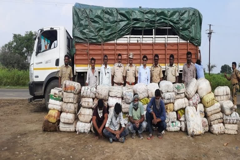 Maharashtra: 1,150 kg Ganja worth Rs 3.45 cr seized, 4 detained