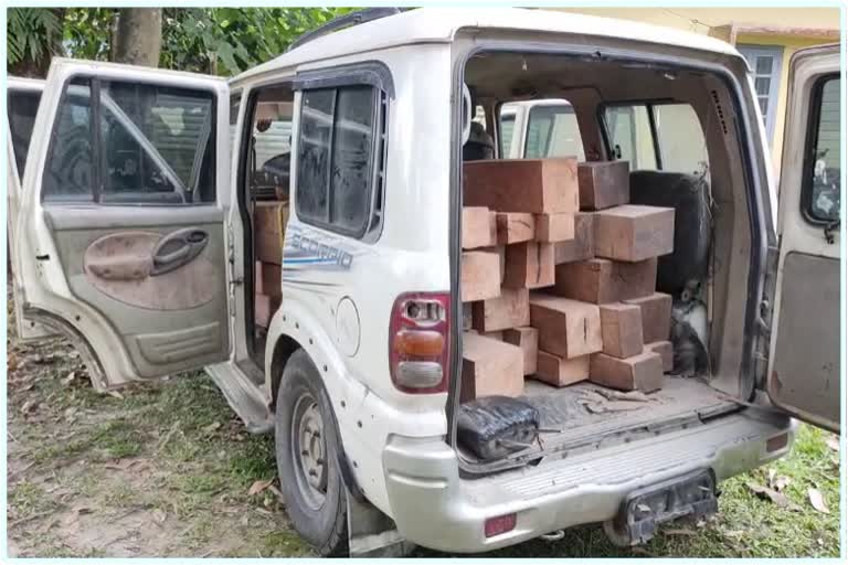 HUGE QUANTITY OF TIMBER AND A SCORPIO SEIZED AT DHUBRI