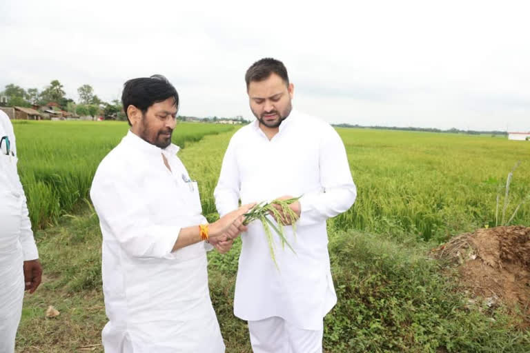 Tejashwi Yadav will return to Patna today after campaigning in Tarapur by election