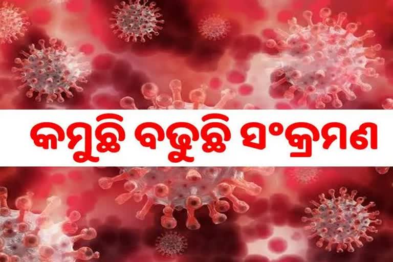 STATE CORONA: ଦିନକରେ ୫୨୧ ପଜିଟିଭ ଚିହ୍ନଟ, ୬୫ ଶିଶୁ ଆକ୍ରାନ୍ତ