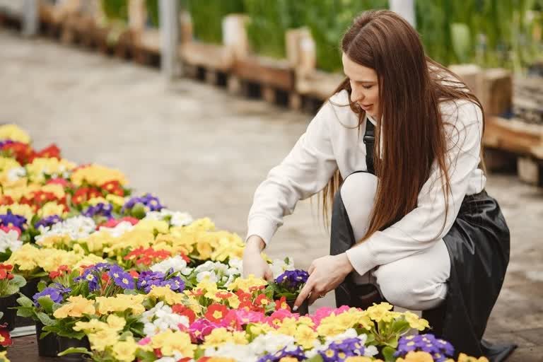 gardening, basics of gardening, what are the basic things related to gardening, beginners guide to gardening, how to grow flowers, how to maintain a flower garden, which flower plants grow easily, plants to grow easily, flowers, home decor, plants, trees, indoor plants, home garden, kitchen garden, easy to grow flowers, low maintenance plants