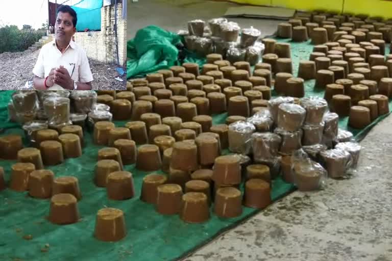 A young farmer making organic jaggery in bagalkot district