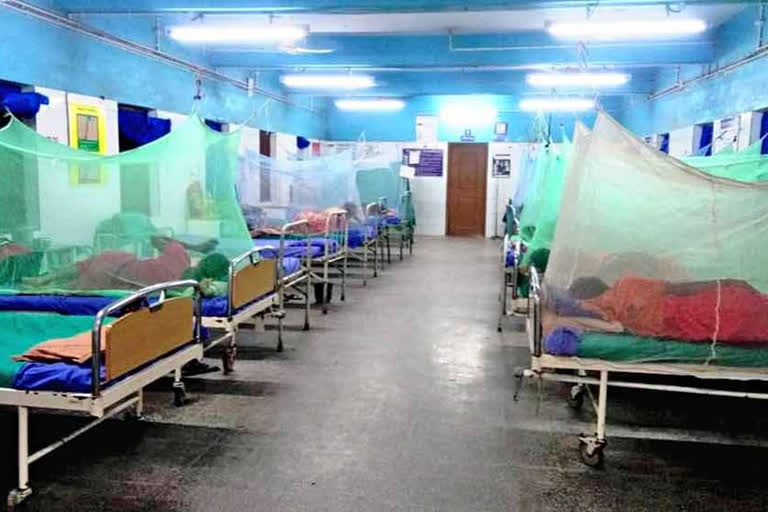 dengue malaria cases increasing in bashirhat health district