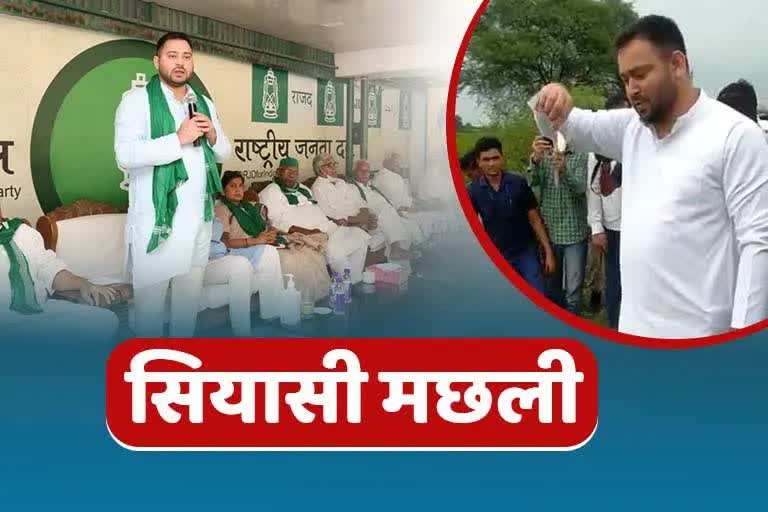 आरजेडी (RJD) नेता तेजस्वी यादव