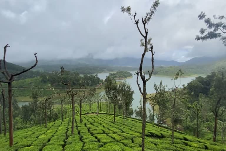 മഴ മുന്നറിയിപ്പ്  കാലവസ്ഥാ നിരീക്ഷണ കേന്ദ്രം  കാലവസ്ഥാ നിരീക്ഷണ കേന്ദ്രം വാര്‍ത്ത  കാലസസ്ഥാ വാര്‍ത്ത  Meteorological Department  Meteorological Department news  Rain update Kerala  Rain update kerala news