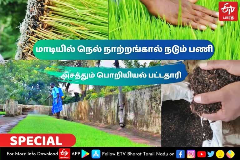 paddy nursery in home upstairs  paddy nursery  paddy  mayiladuthurai news  mayiladuthurai latest news  மயிலாடுதுறை செய்திகள்  நெல் நாற்றங்கால்  வீட்டு மாடியில் நெல் நாற்றங்கால்  இயற்கை விவசாயம்  மயிலாடுதுறையில் மாடியில் நெல் நாற்றங்கால் வளர்க்கும் இளைஞர்