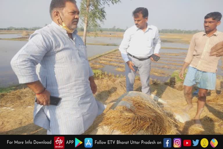 नष्ट हुई फसल का जायजा लेने पहुंचे विधायक और एसडीएम.