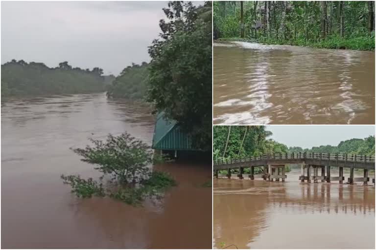 കുട്ടനാട്  കുട്ടനാട്ടിൽ ജലനിരപ്പ് താഴുന്നില്ല  കിഴക്കൻ വെള്ളത്തിന്‍റെ വരവ് ശക്തം  അതിതീവ്രമഴ  യെല്ലോ അലർട്ട്  ഓറഞ്ച് അലർട്ട്  yellow alert  orange alert  kuttanad  water level update of alappuzha district  water level  alappuzha district  alappuzha water level