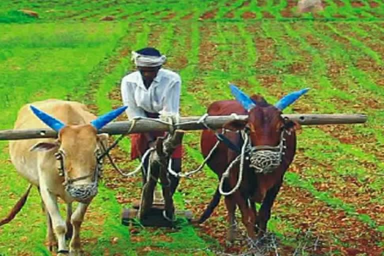 sowing-in-karnataka-more-than-expectaions