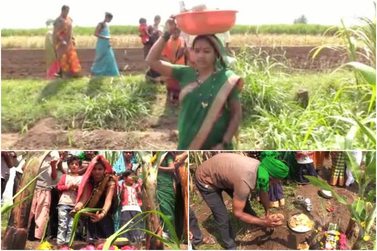 Seege hunnime festival celebrated in Chikkodi