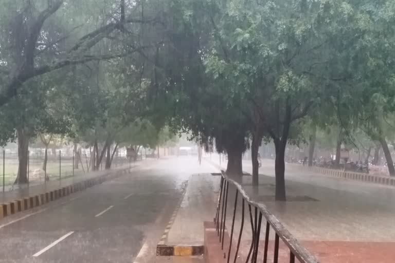 Rain In Haryana