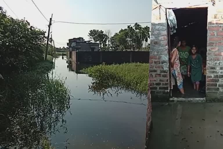 জলমগ্ন বৈদ্যবাটীর বেশ কিছু এলাকা