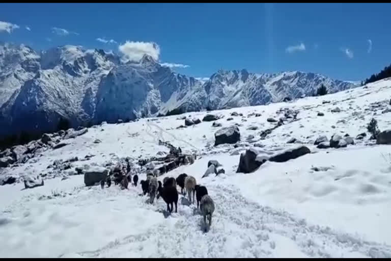 पहाड़ी क्षेत्रों में बर्फबारी