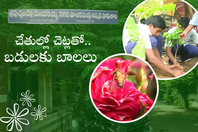 national-green-corp-program-conducted-in-krishna-district-schools