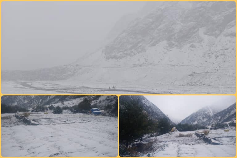 snowfall-continues-in-the-hilly-areas-of-lahaul-spiti-and-kullu-district