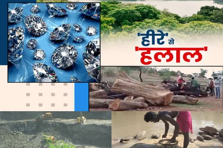 diamond storage in buxwaha forest found after panna district of MP