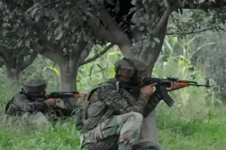 three-hardcore-naxalites-killed-in-police-naxal-encounter-in-the-border-of-telangana-bijapur