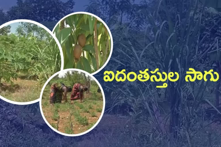 five steps farming in chittor district