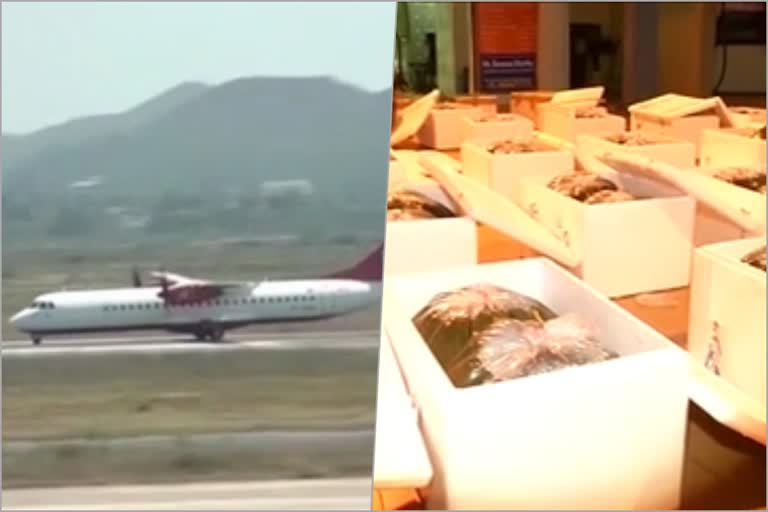 Air cargo services canceled in Visakhapatnam