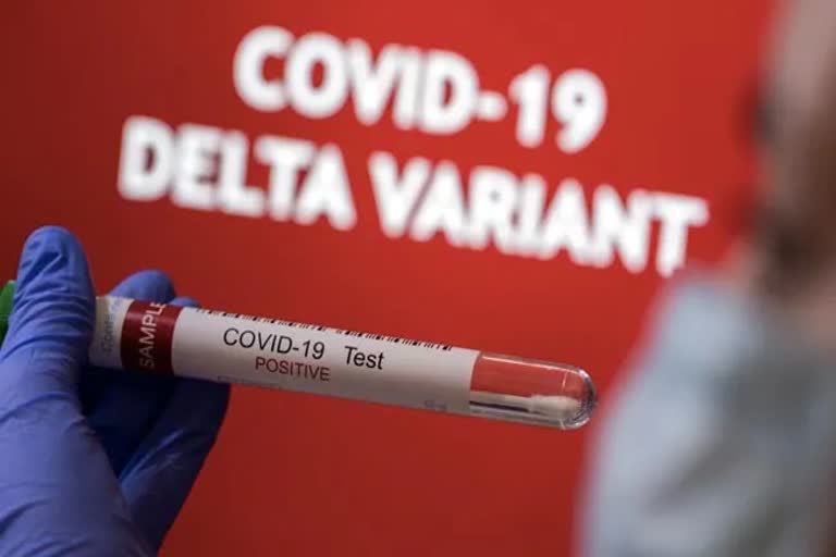 7 cases of new Covid variant found in Karnataka, புதிய வகை கரோனா. AY 4.2 எனப்படும் புதிய டெல்டா வகை கரோனா தொற்று