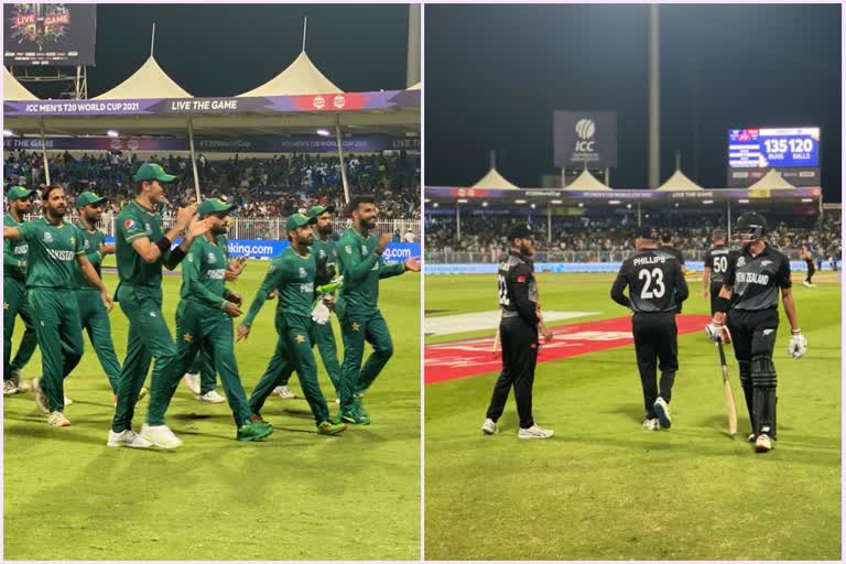 PAK vs NZ